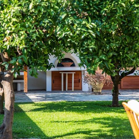 Amaryllis Holiday Home Agios Spyridon  エクステリア 写真