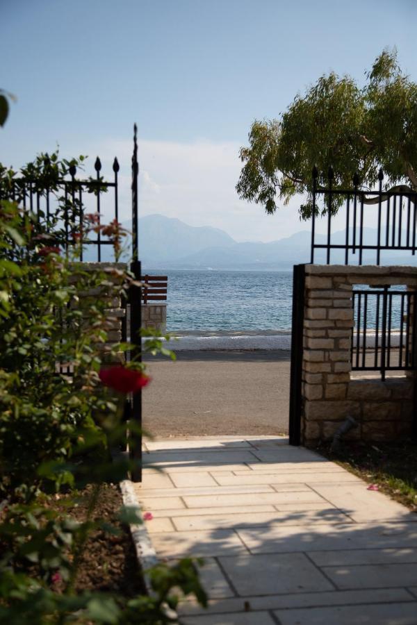 Amaryllis Holiday Home Agios Spyridon  エクステリア 写真