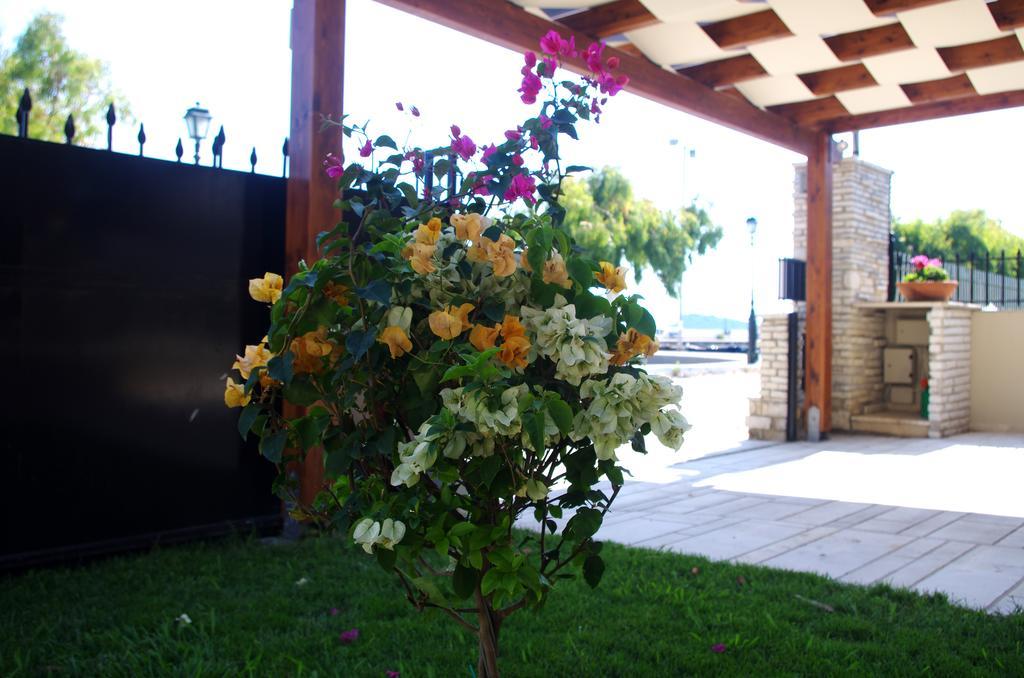Amaryllis Holiday Home Agios Spyridon  エクステリア 写真